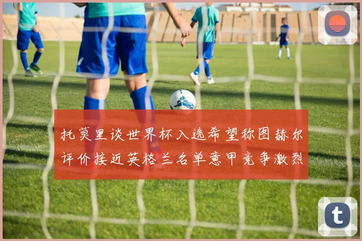 托莫里谈世界杯入选希望称图赫尔评价接近英格兰名单意甲竞争激烈